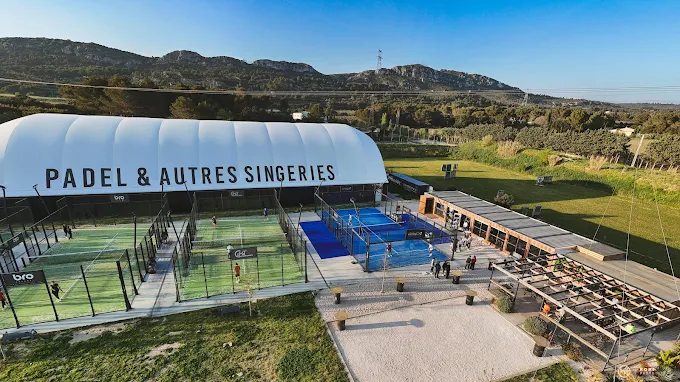 the monkey padel